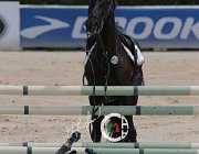 Giordano Carlton Wonder CsioArJYR SS7 8106 : CSIO Giovani Arezzo, Carlton Wonder, Giordano Martina, foto Stefano Secchi ©